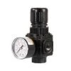 Powermate Pressure Regulator, 1/4 in NPT