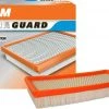 Fram Extra Guard's Flexible Air Filters